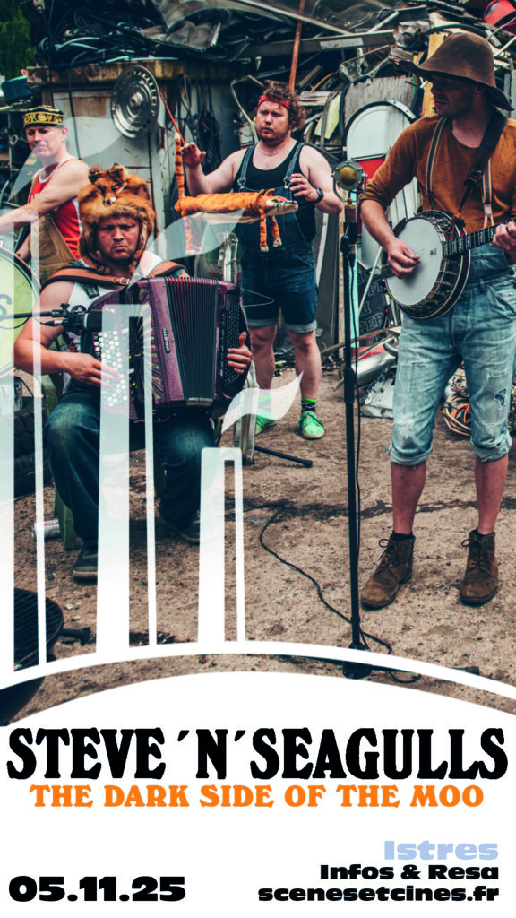 Steve N Seagulls