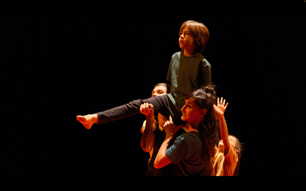 LE LABYRINTHE DE L’OIE