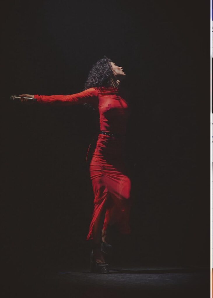 Barbara Pravi Dalida Diva Tzigane