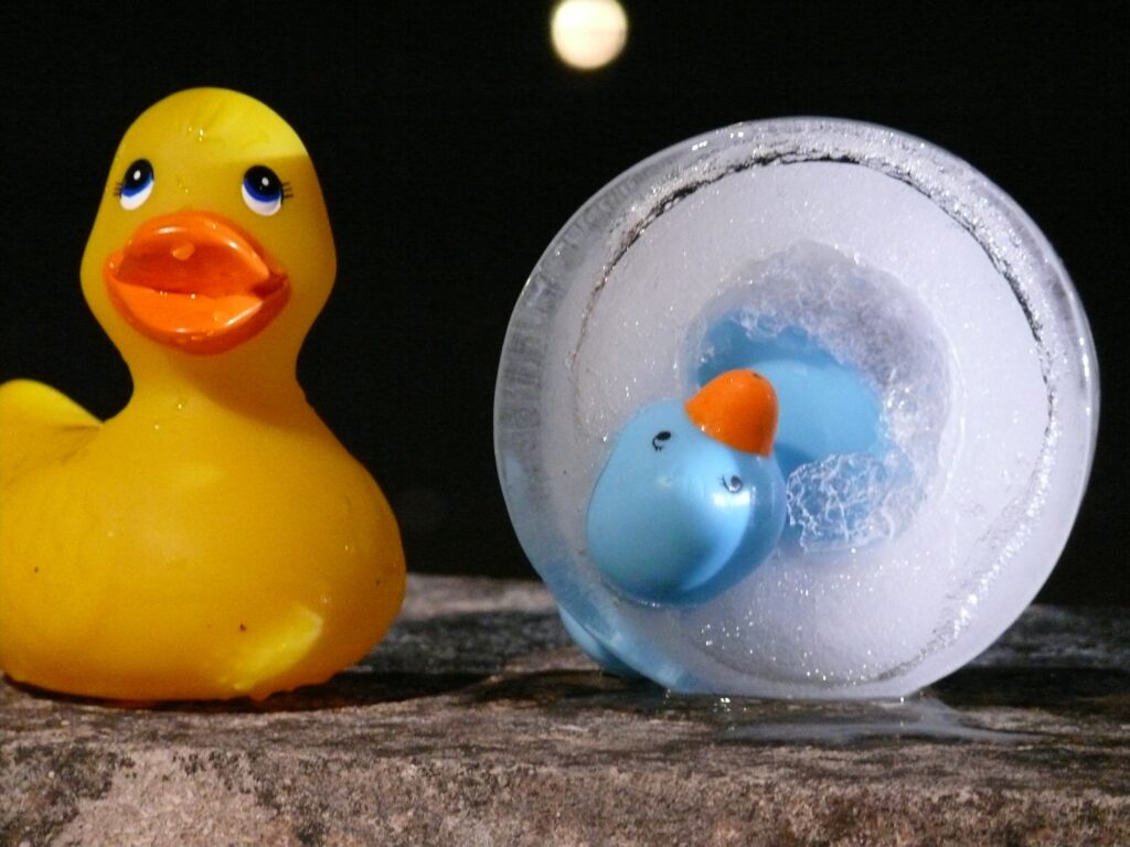 À LA RECHERCHE DES CANARDS PERDUS
